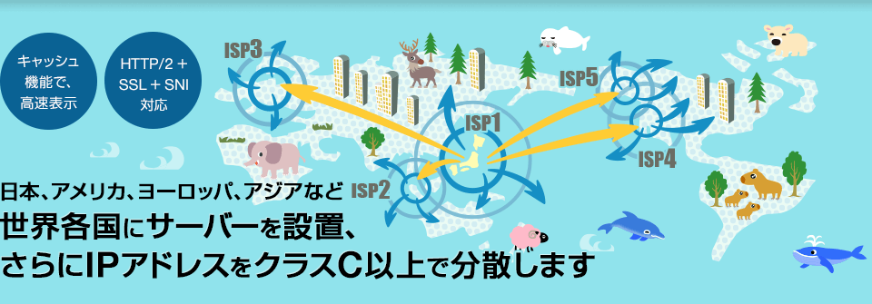 キャッシュ機能で高速表示　HTTP/2 ＋ SSL ＋ SNI対応　日本、アメリカ、ヨーロッパ、アジアなどの世界各国にサーバーを設置、さらにIPアドレスをクラスC以上で分散します。