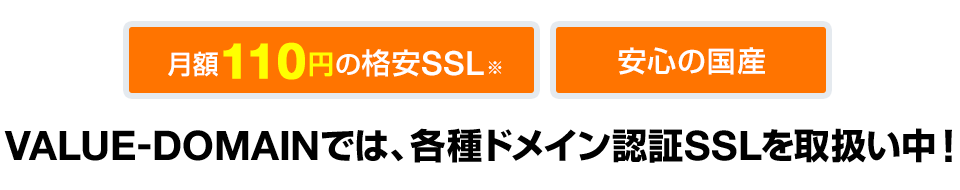 月額110円の格安SSL・安心の国産　VALUE-DOMAINでは、各種ドメイン認証SSLを取扱い中！